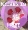 Return to Home