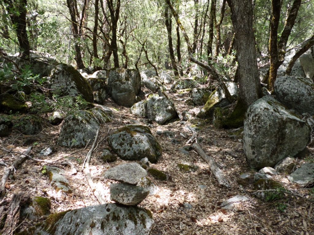 Moss-covered granite boulders were scattered along the hillside: