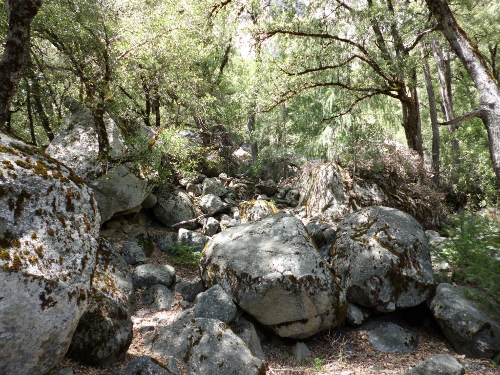 While passing through this section of boulders, the trail got noticeably steeper: