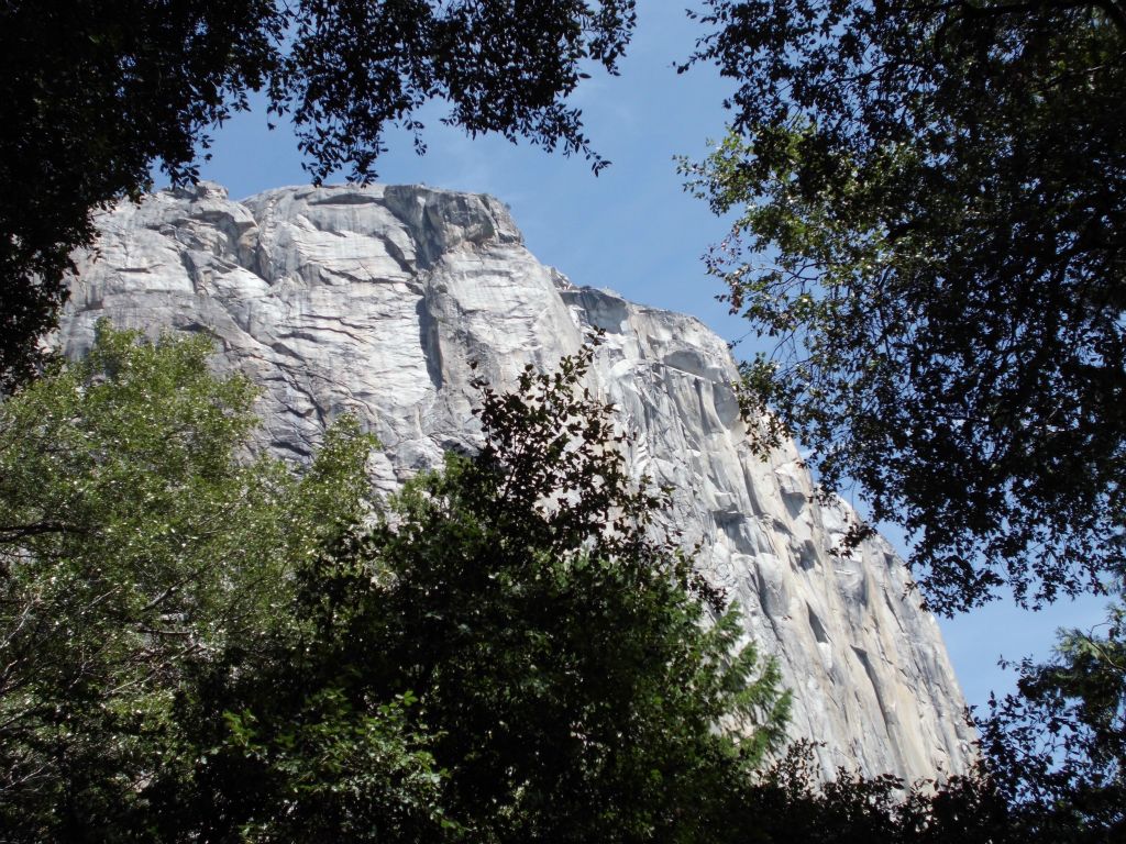 Nice view of the granite cliffs through the trees: