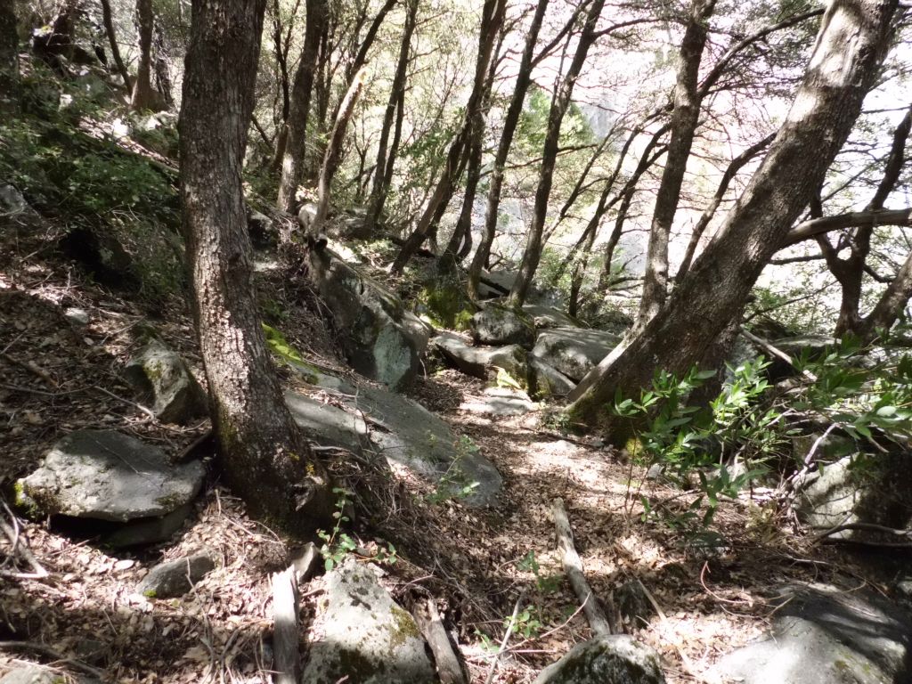 The trail then began a gradual descent toward the base of Ribbon Fall: