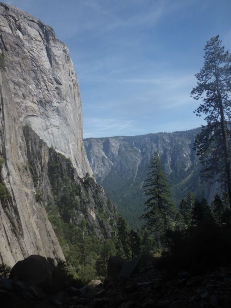 A view showing all of El Capitan's western rock face from this spot: