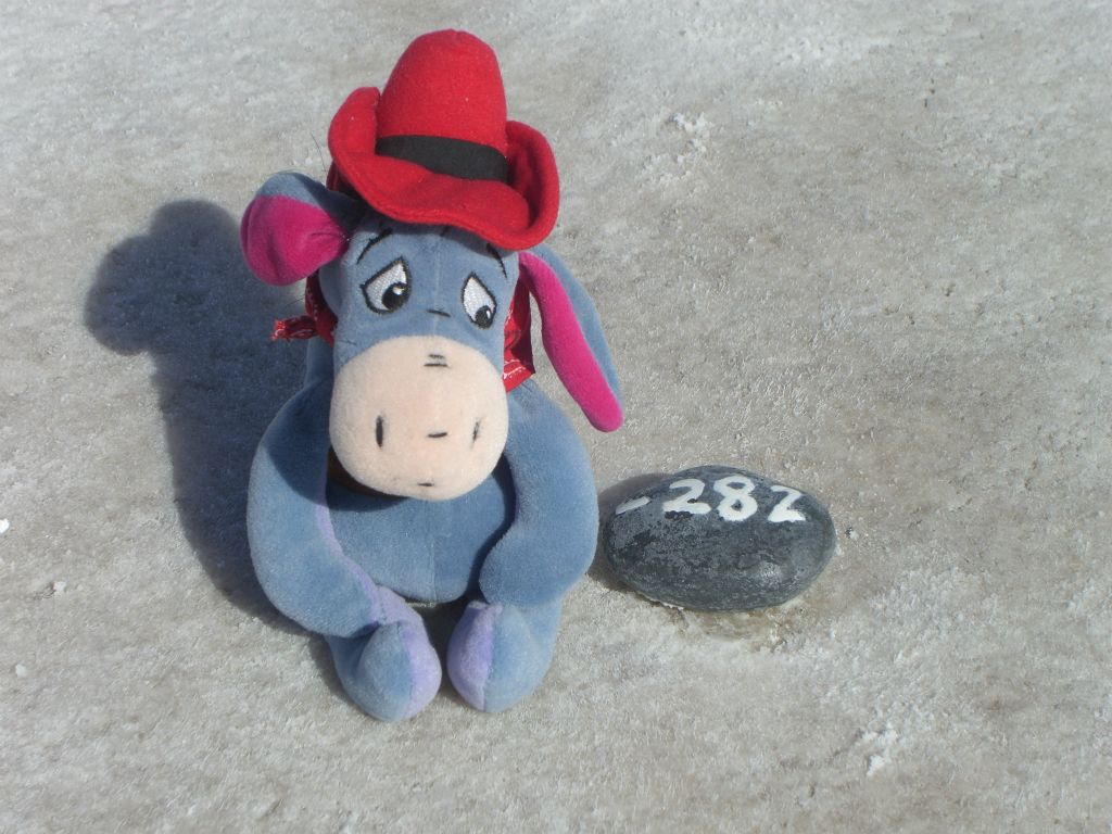 A picture of our old Death Valley mascot Eeyore next to the -282 rock: