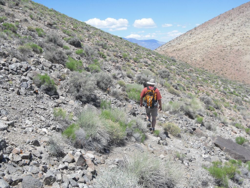 Dan leading the way through a short section where we lost sight of the trail briefly.  I had not had the chance to hike with Dan since a 2006 hike in the Greenwater Valley area: