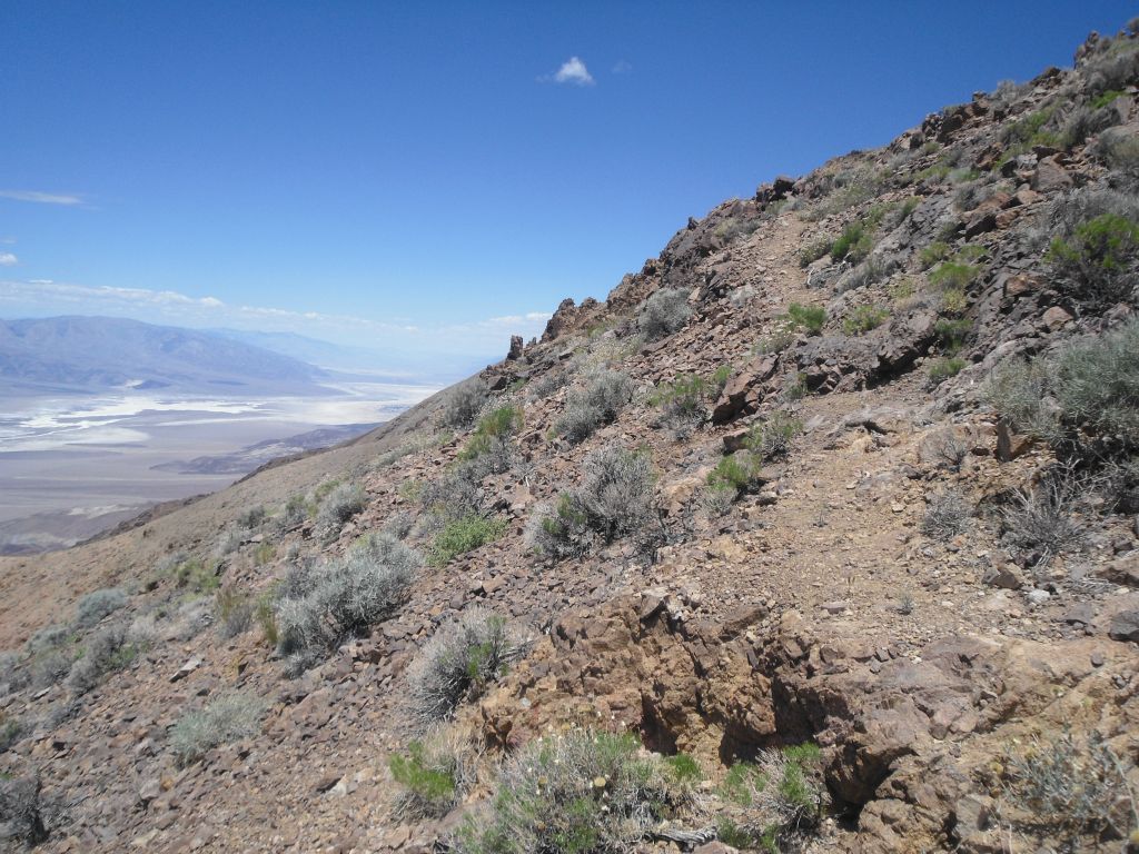 And now the use trail has switched over to the left side of the ridge: