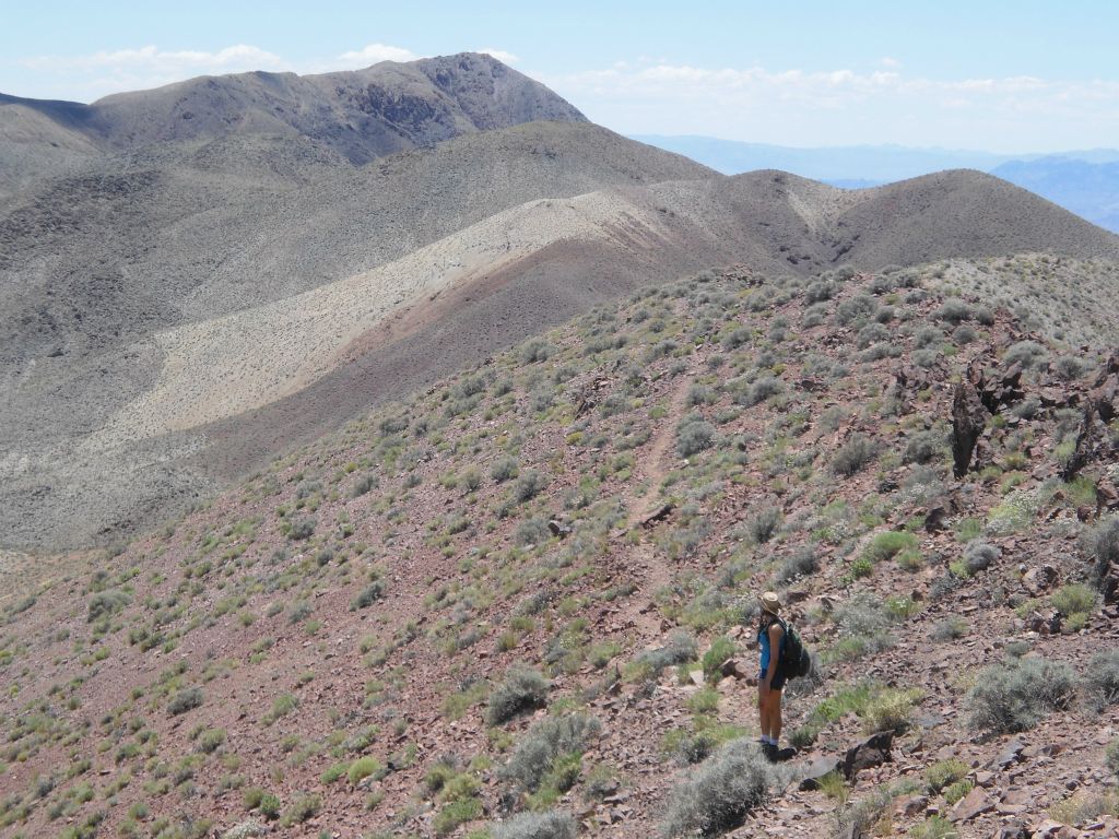 Daria looking back down the trail toward Dante BM way off in the distance: