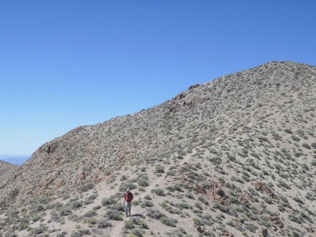 Dan coming down the long descent from Dante BM to a low saddle above Upper Bad Canyon:
