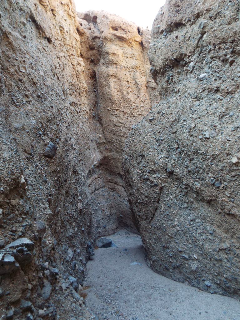 The narrows were tall and tight with no footprints anywhere in the wash:
