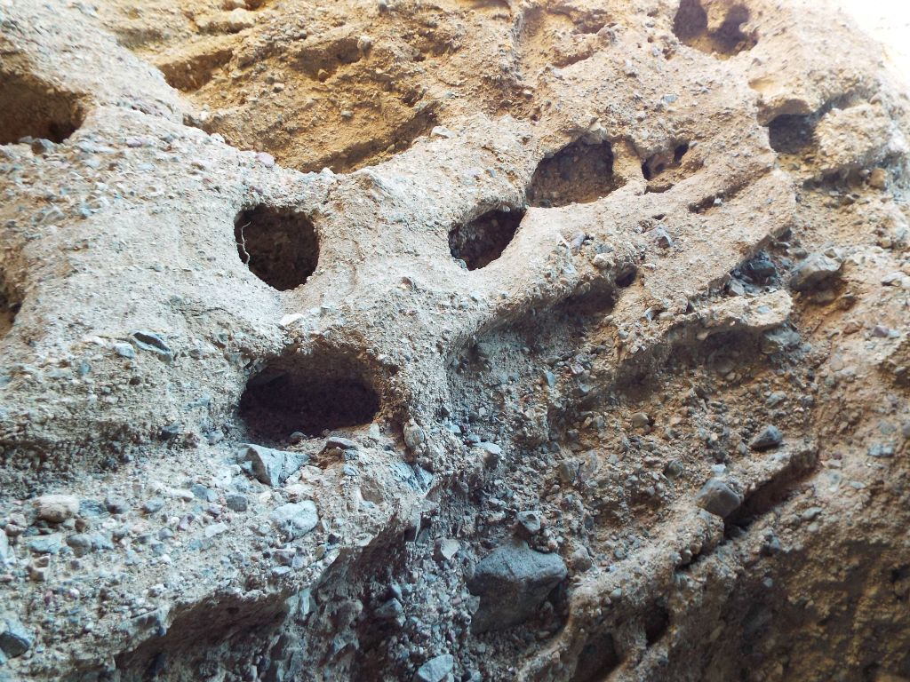 Small alcoves up on the canyon wall created by erosion: