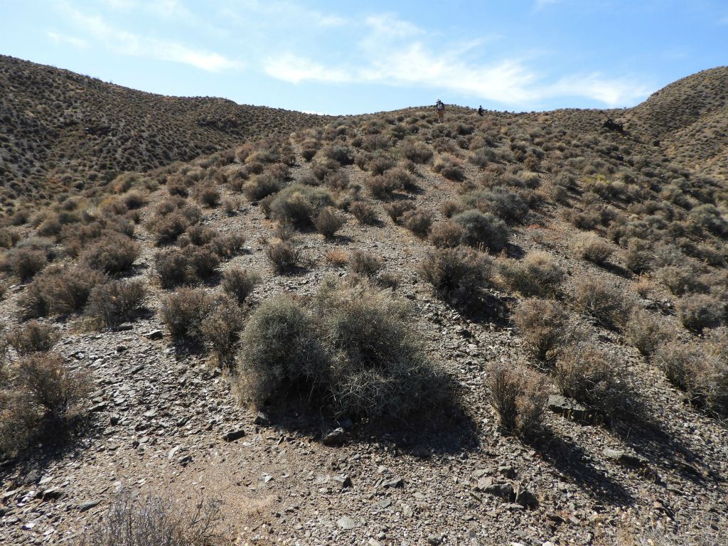 From the parking area to the saddle, we gained 450 feet in elevation.  The last stretch was the steepest part: