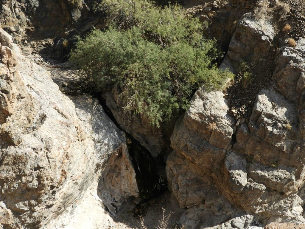 Timpapah Spring would be fun to explore more thoroughly, but even if someone got down into the wash, there are waterfalls all around to contend with:
