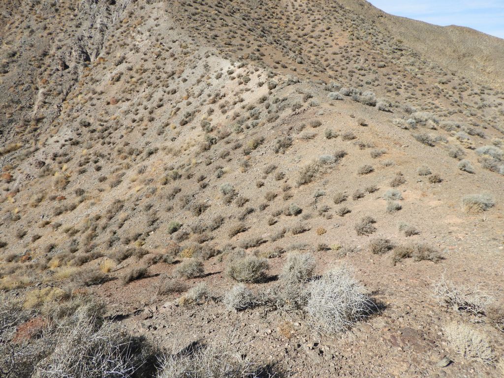 The low point in the saddle where we decided to drop into the head of the canyon:
