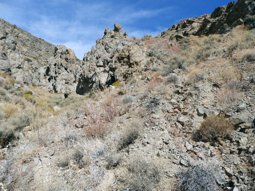 Arriving back in the wash and looking up at the steep bypass slope: