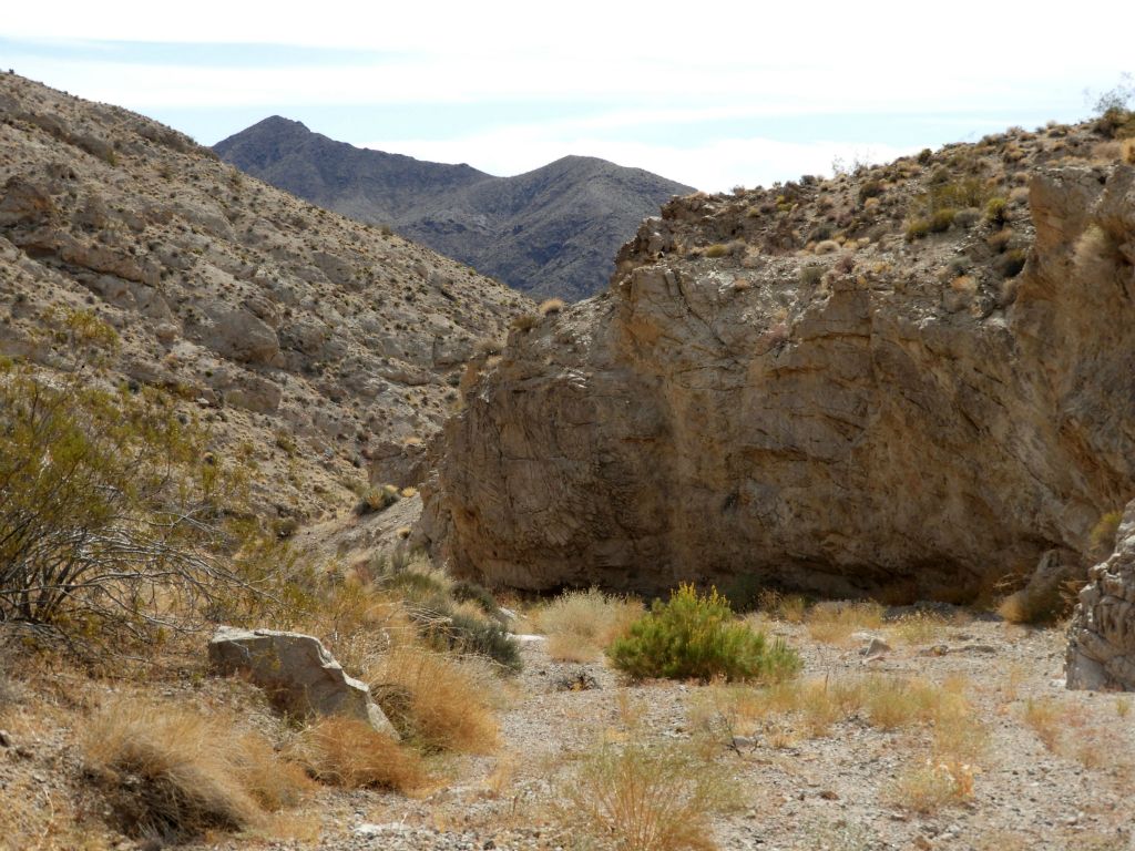 Desert Hound Peak was almost always visible in front of us like a beacon: