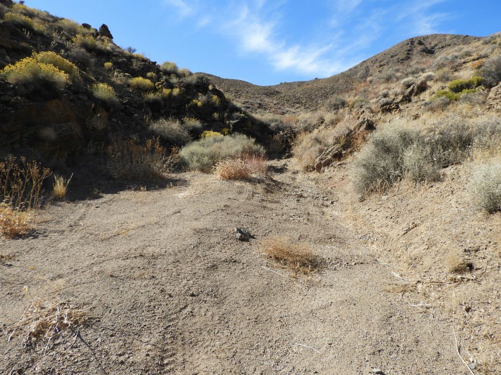 This is where the actual Gold Valley spur road comes to an end.  The hike begins by passing through the gap seen here: