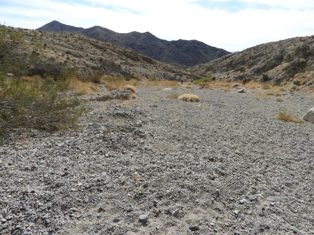 A wide open section with a clear view of the Desert Hound ridgeline: