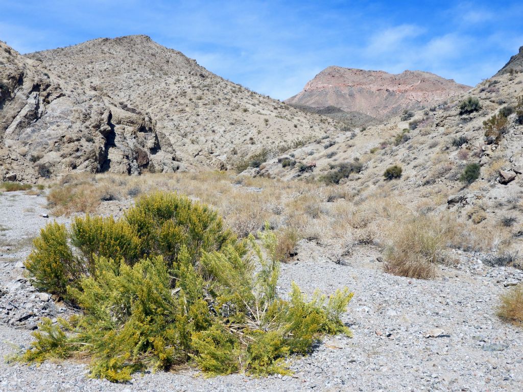 A very pretty view looking back up canyon: