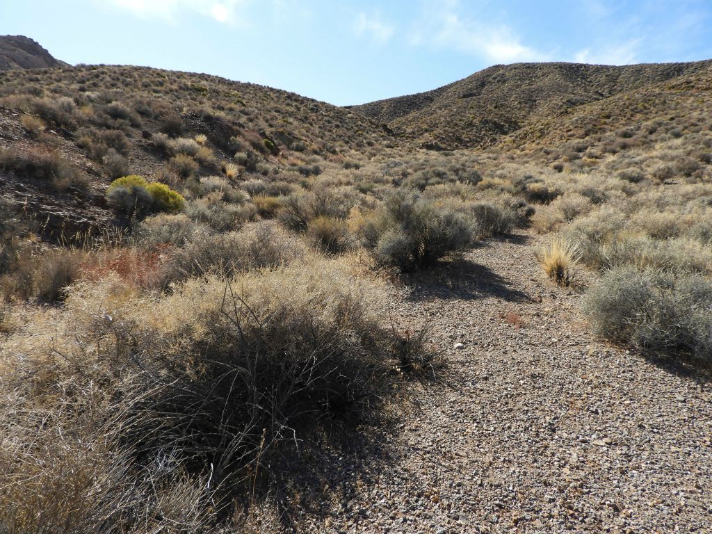 A number of small washes converge past the gap but the key is to turn south and choose a good wash heading up: