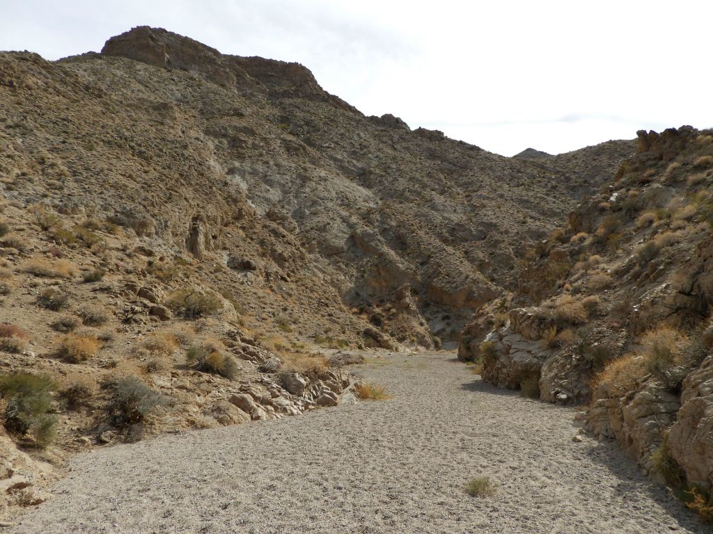 Past the junction, the walls on both sides of the canyon grew to incredible heights: