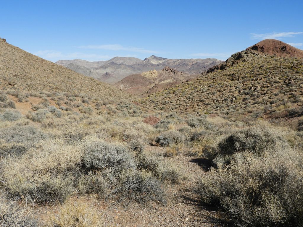 Looking back after beginning the cross country portion of the hike: