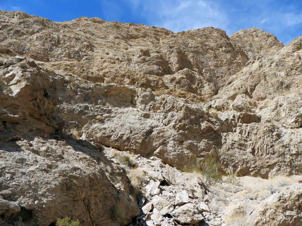 Looking up at canyon walls some 500 feet in height above us: