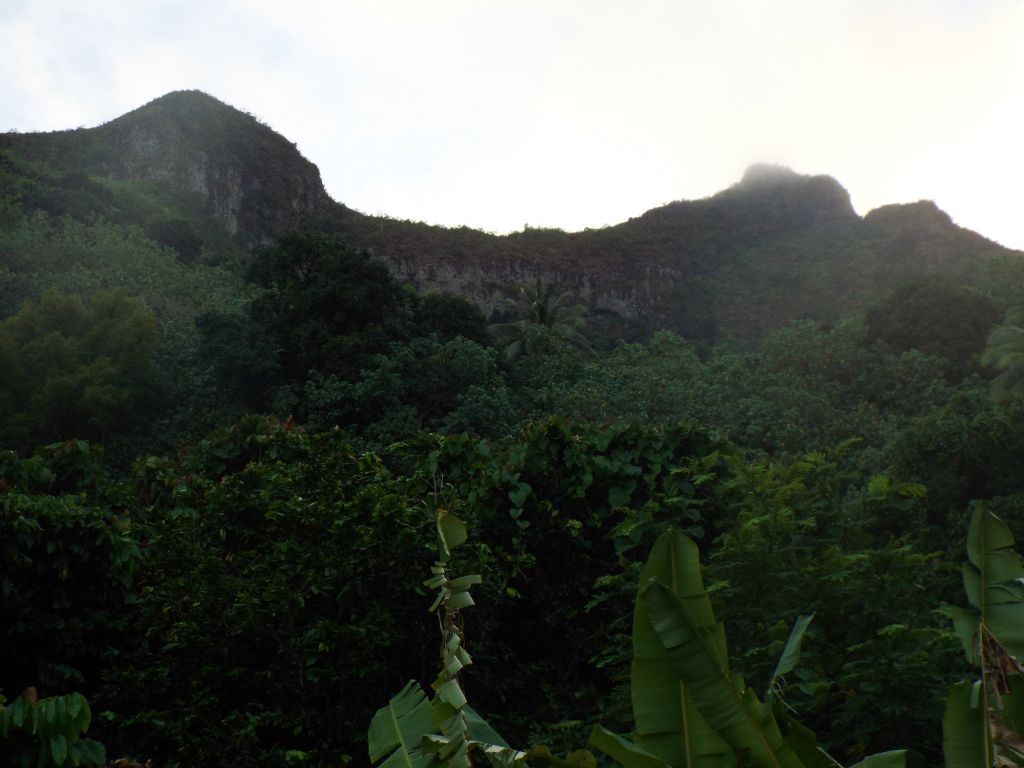 Our last view of the peaks for the next couple of hours as we entered into the jungle: