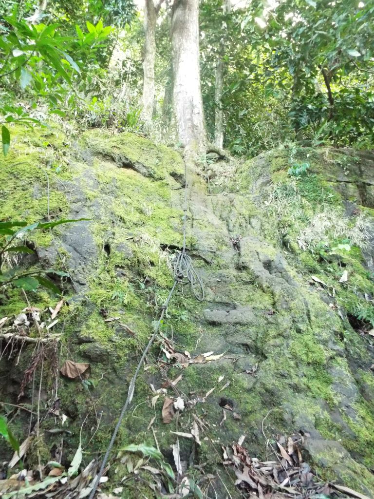 This is the first of many steep rope climbs on the hike.  Here, the climb is up a mossy and slippery slab of rock: