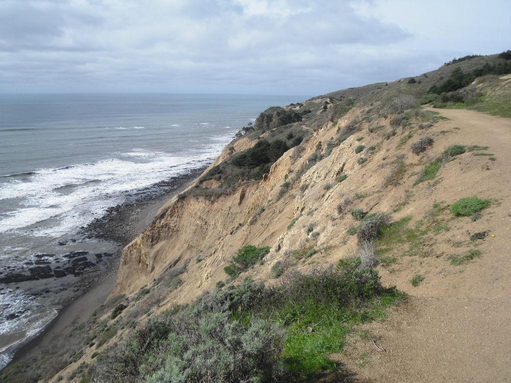 It isn't long before the trail passes by some cliffs which drop off hundreds of feet down into the Pacific Ocean: