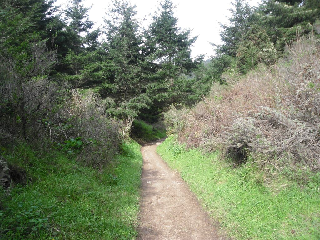 The main trail is very well maintained and easy to follow: