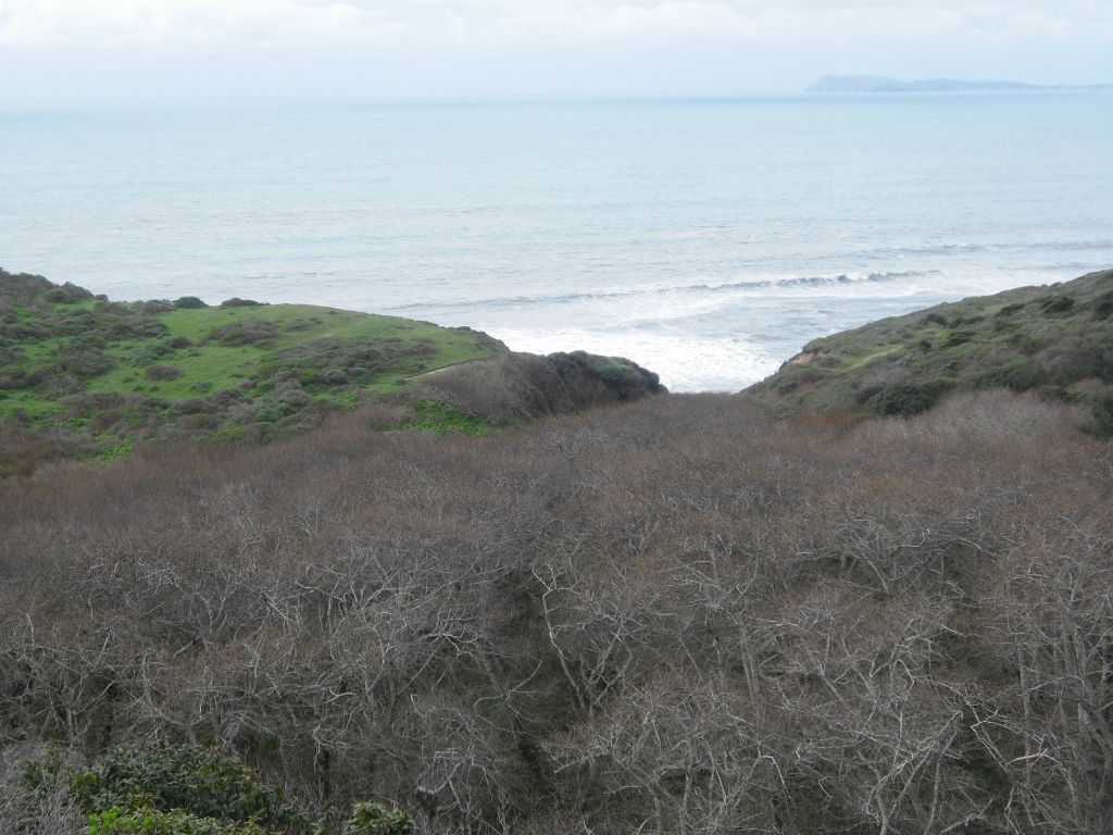 Nice view of the ocean from along the trail: