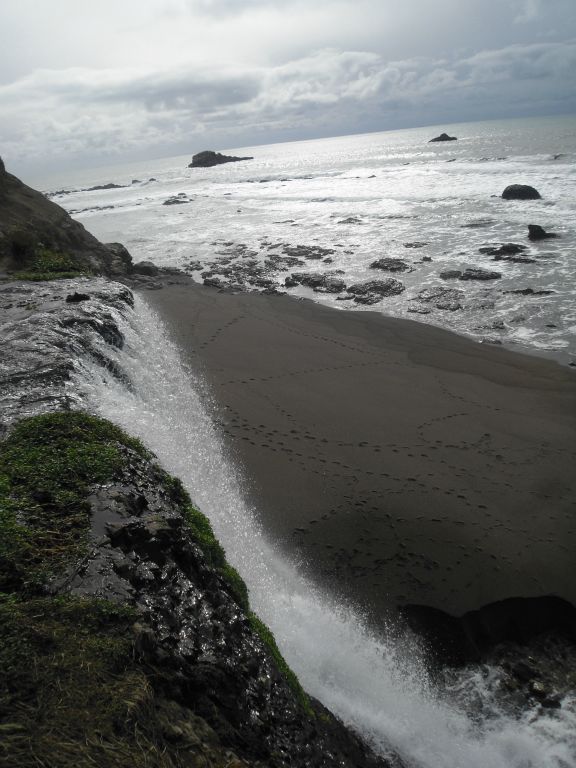 And here it is... Alamere Falls plunges down onto the beach of Point Reyes National Seashore: