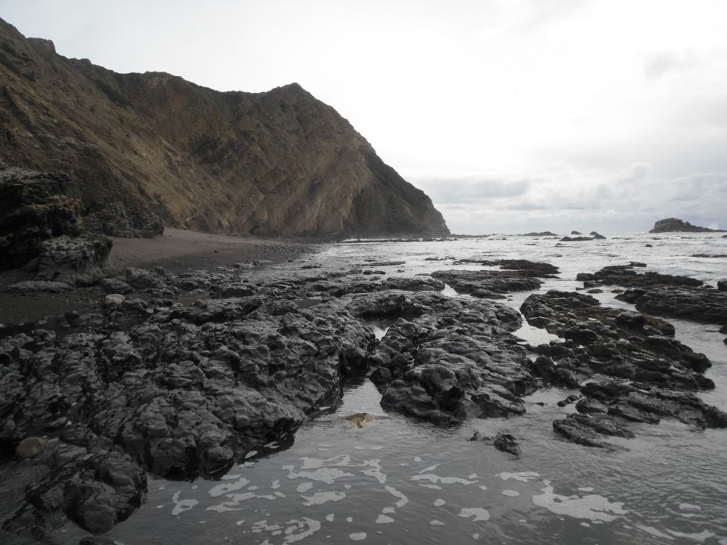 Looking south along the shoreline at the tide pools and continuing beach: