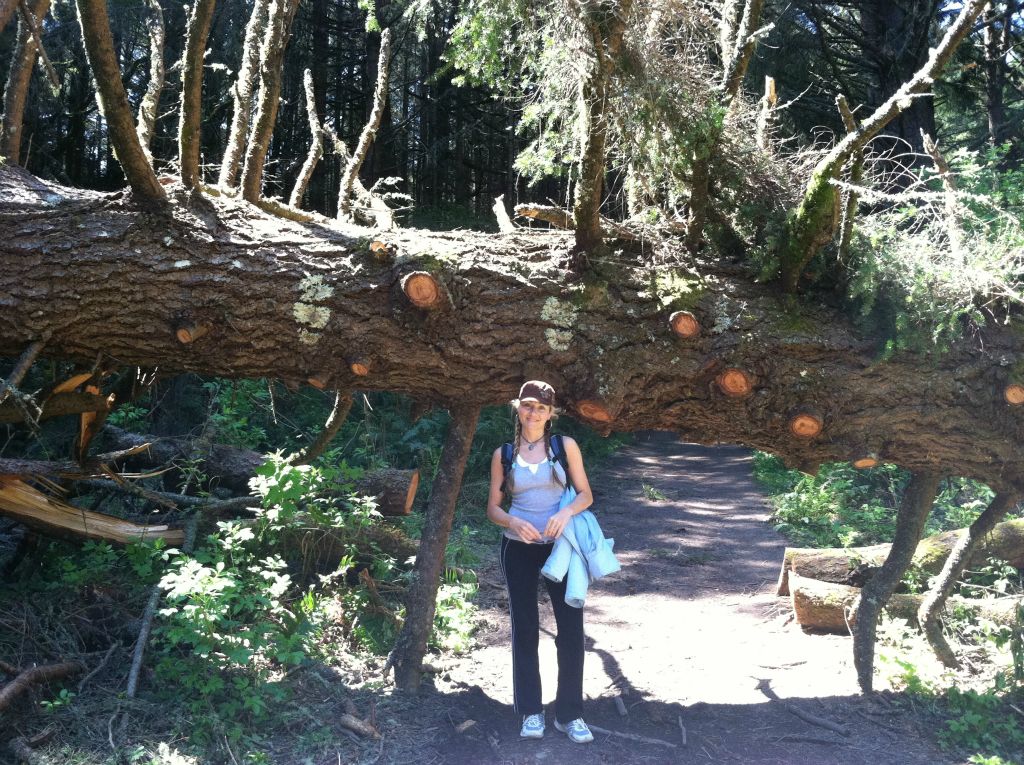 We returned to Alamere Falls on April 6, 2011 for our third time.  The waterfalls were much fuller because we had a great amount of Winter and Spring rainfall.  Enjoy the following newer photos and the surprise at the end: