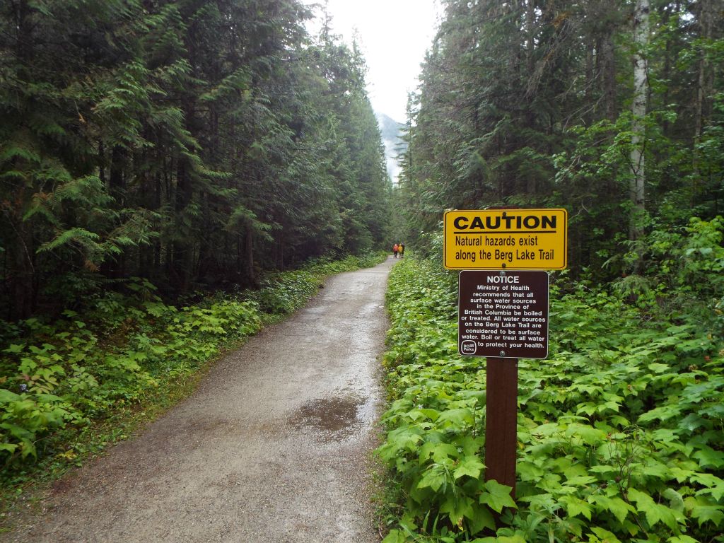 The first section of the Berg Lake Trail is heavily traveled with many day hikers heading to Kinney Lake.  The trail is very well maintained: