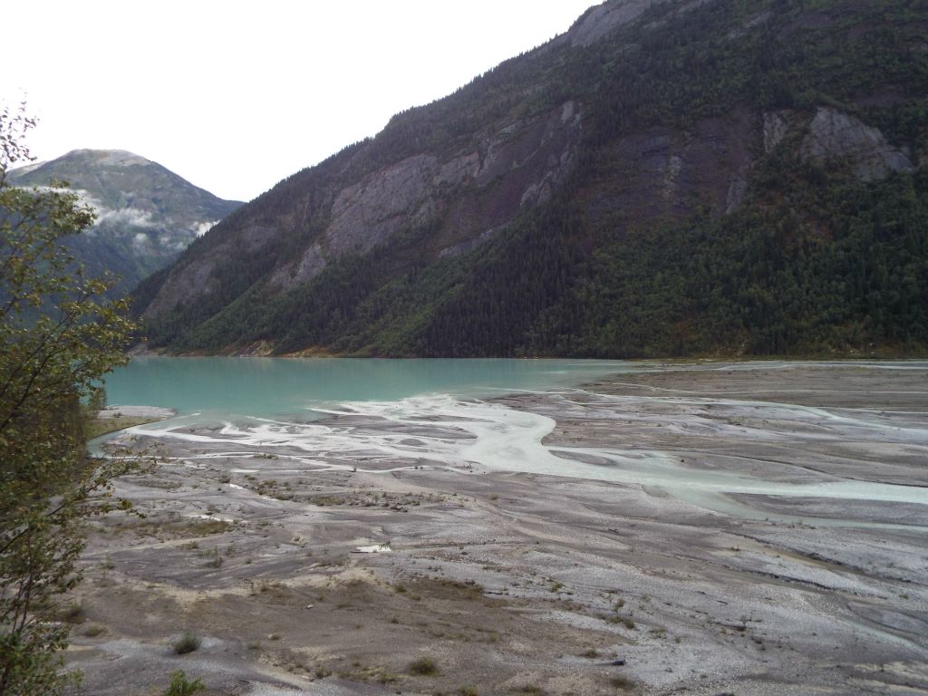 Upstream of Kinney Lake, the Robson River divides into channels: