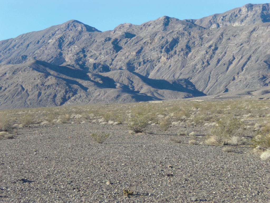 Here we are walking on the hillside to the left of the Bighorn Gorge wash.  Look closely at the terrain we are walking on as we go up towards the gorge mouth.  Walking on this surface was way easier than walking on loose rocks in the Bighorn Gorge wash: