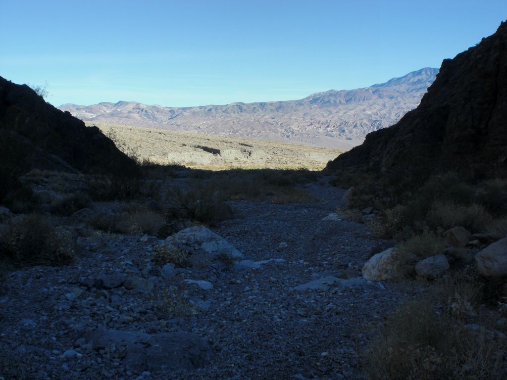 Looking back out the canyon mouth through the morning shadows: