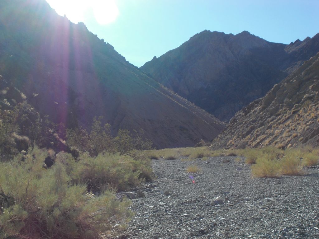 The wide open spaces of the lower canyon were quickly coming to a close: