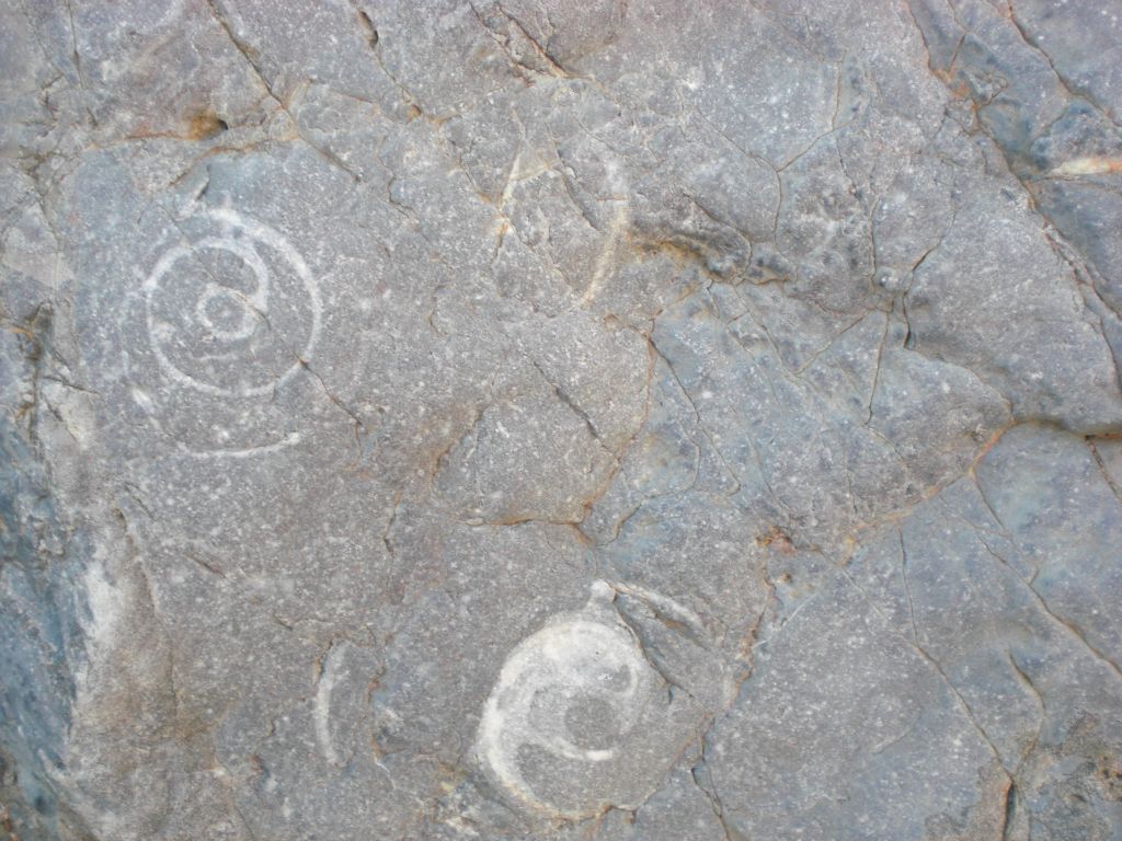 While we would find better specimens later, the fossils on the walls through here still caught our interest: