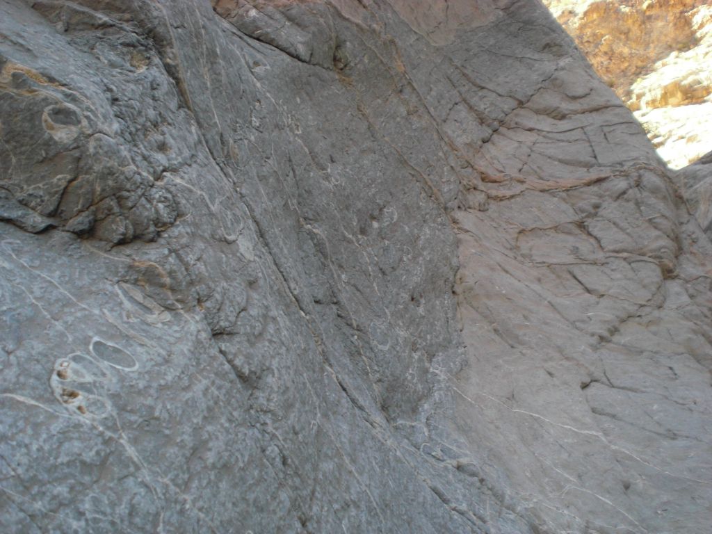 More of the beautiful scenery along the walls of the 5th Narrows: