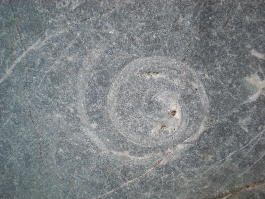 More fossils began appearing on the walls of the canyon: