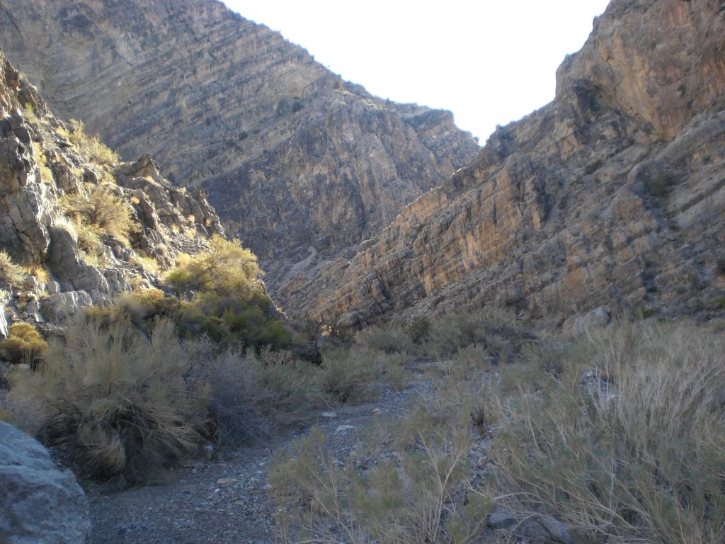 After making it this far, I couldn't resist going up the gorge even farther towards the head: