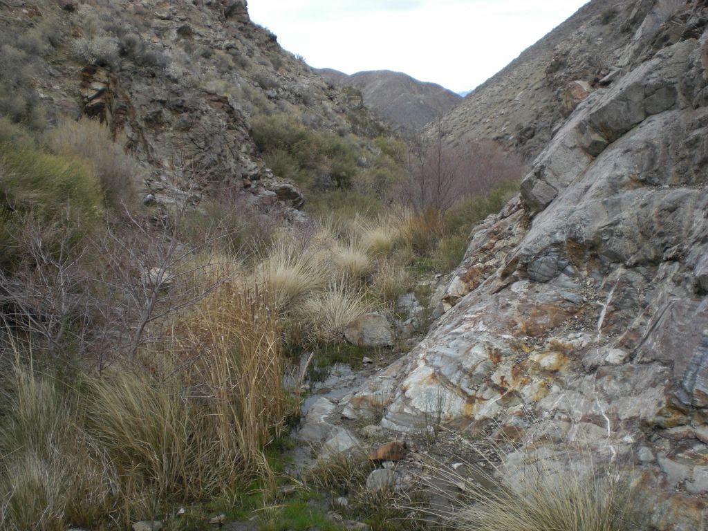 And our final two pictures give you more views of the canyon, just before it makes a sharp turn to the west: