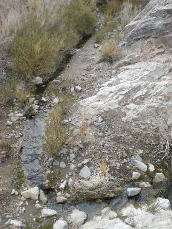 Continuing to follow the spring farther up canyon in the next two pictures: