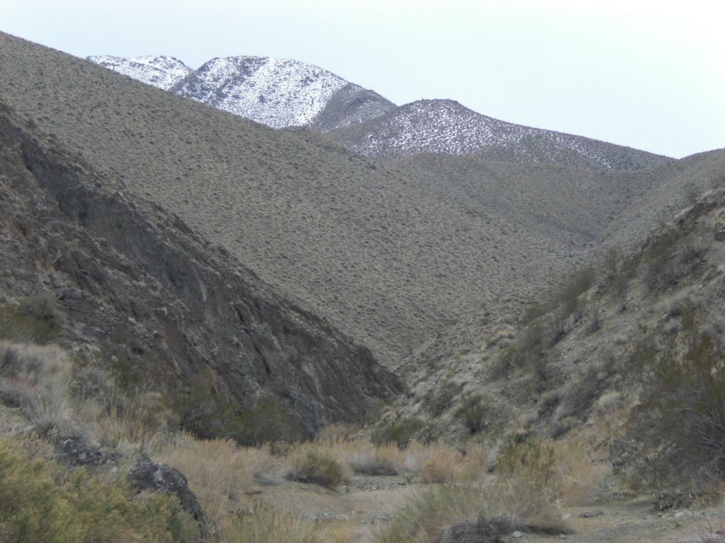 Looking up into Dead Horse Canyon from very close to the mouth: