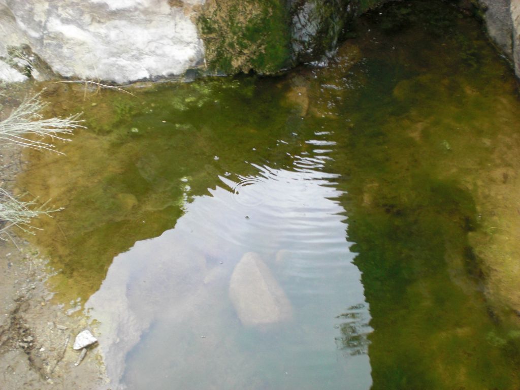 The pool below the lower portion of Dead Horse Falls: