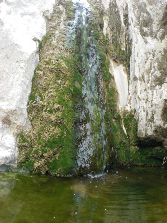 A close-up of the mossy waterfall: