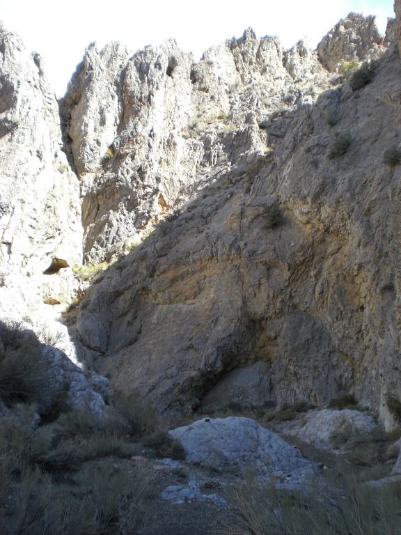 One of the highlights of Dry Bone Canyon is fast approaching: