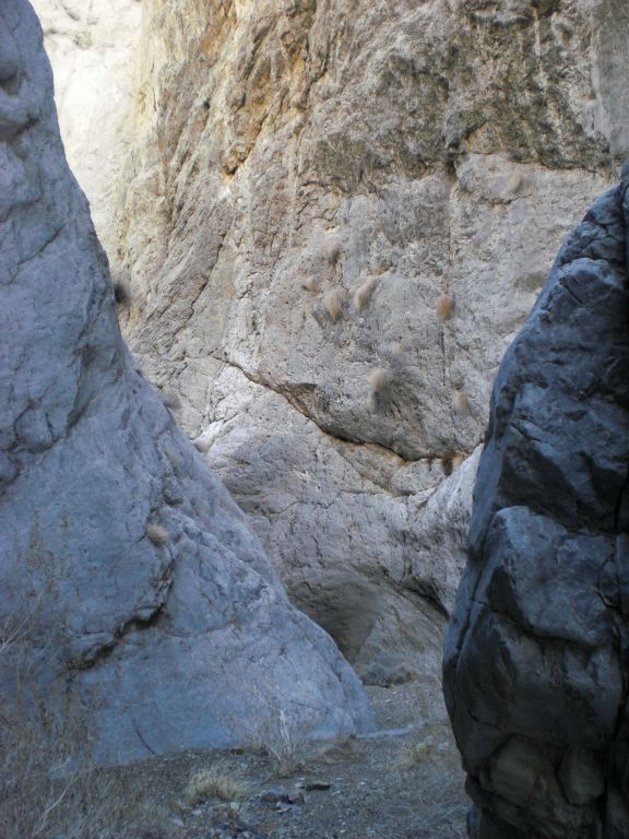 We were in the Upper 1st Narrows at about 11 o'clock in the morning, which wasn't the best time for photographs, but we still got some pretty shots: