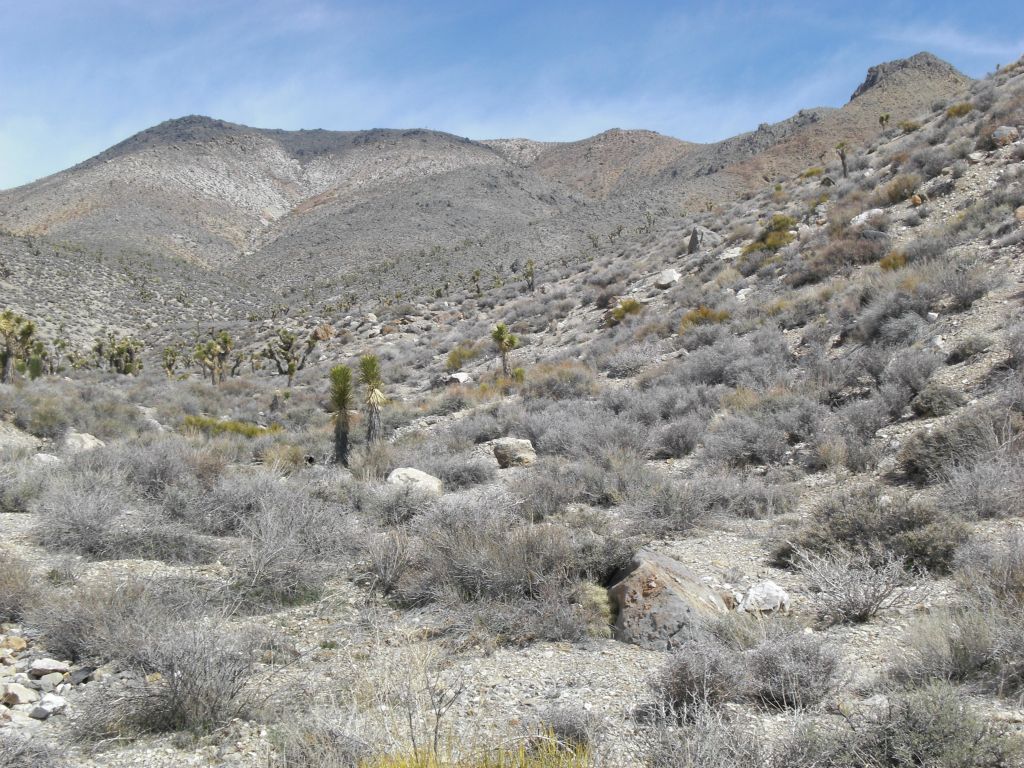 At this point, we have exited the 1st Narrows and taken a side canyon which leads to the bypass route.  Digonnet explains the bypass route in his book 'Hiking Death Valley' on page 342: